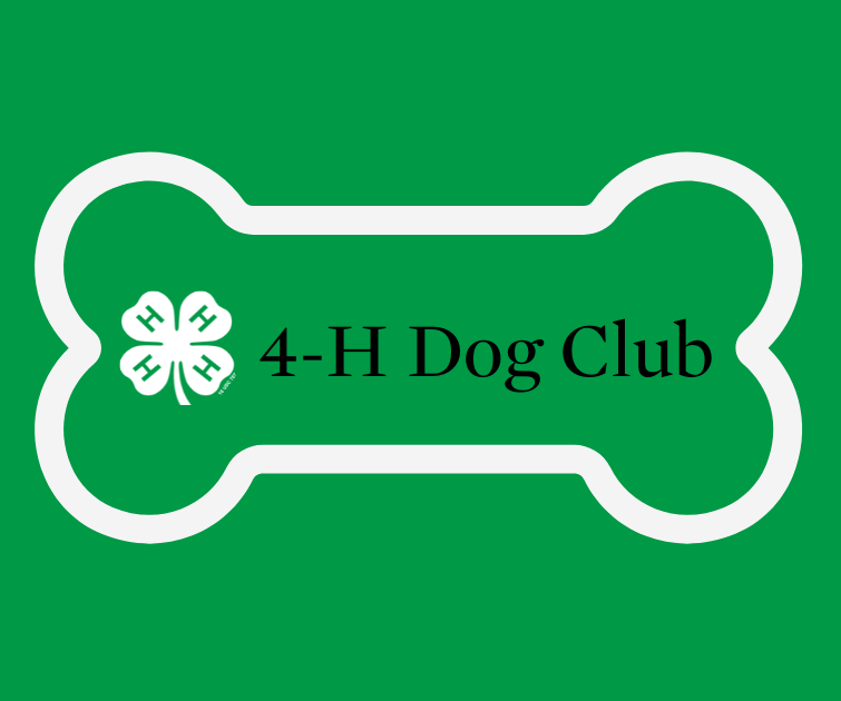 4-H dog club