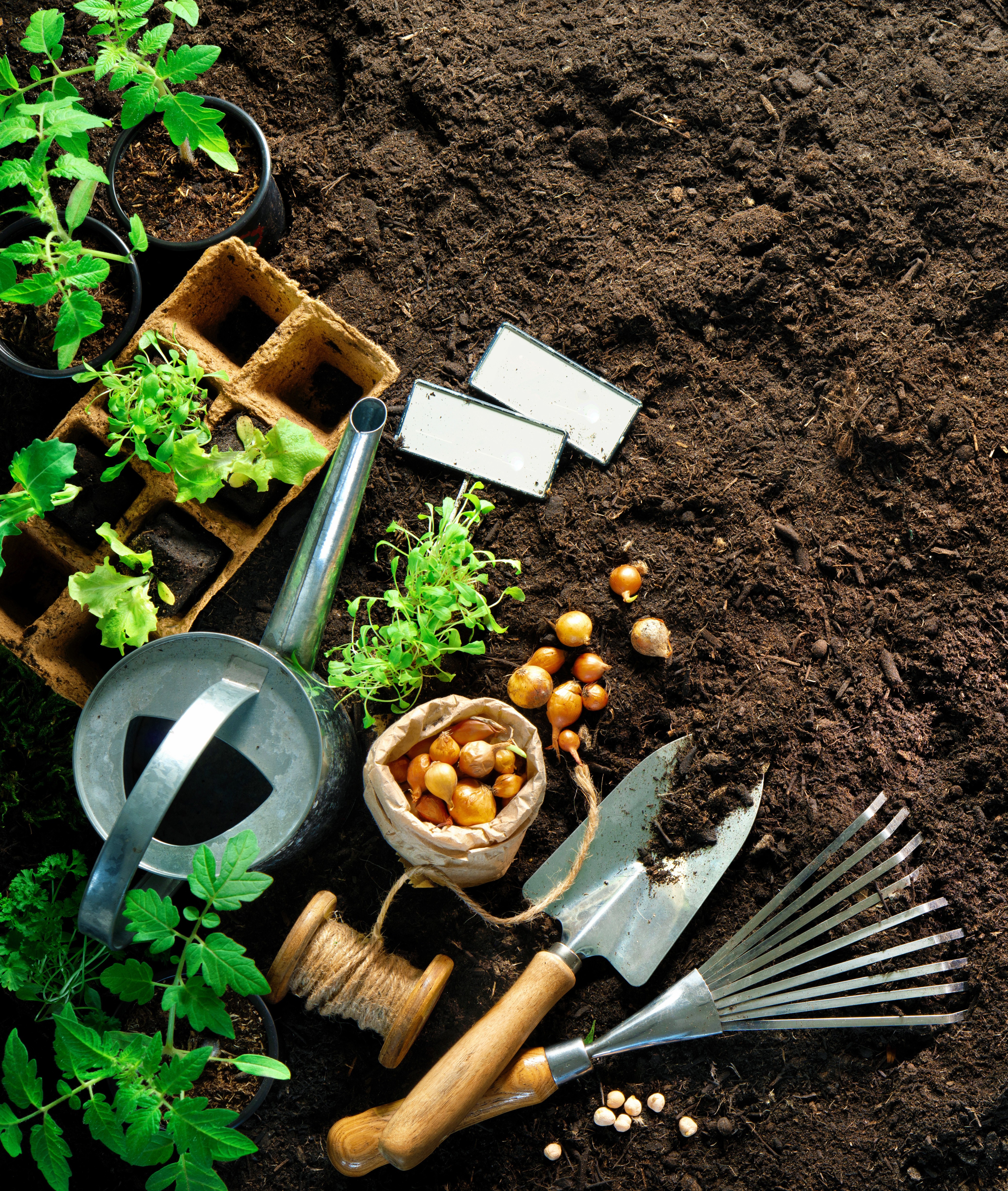 Garden Club image
