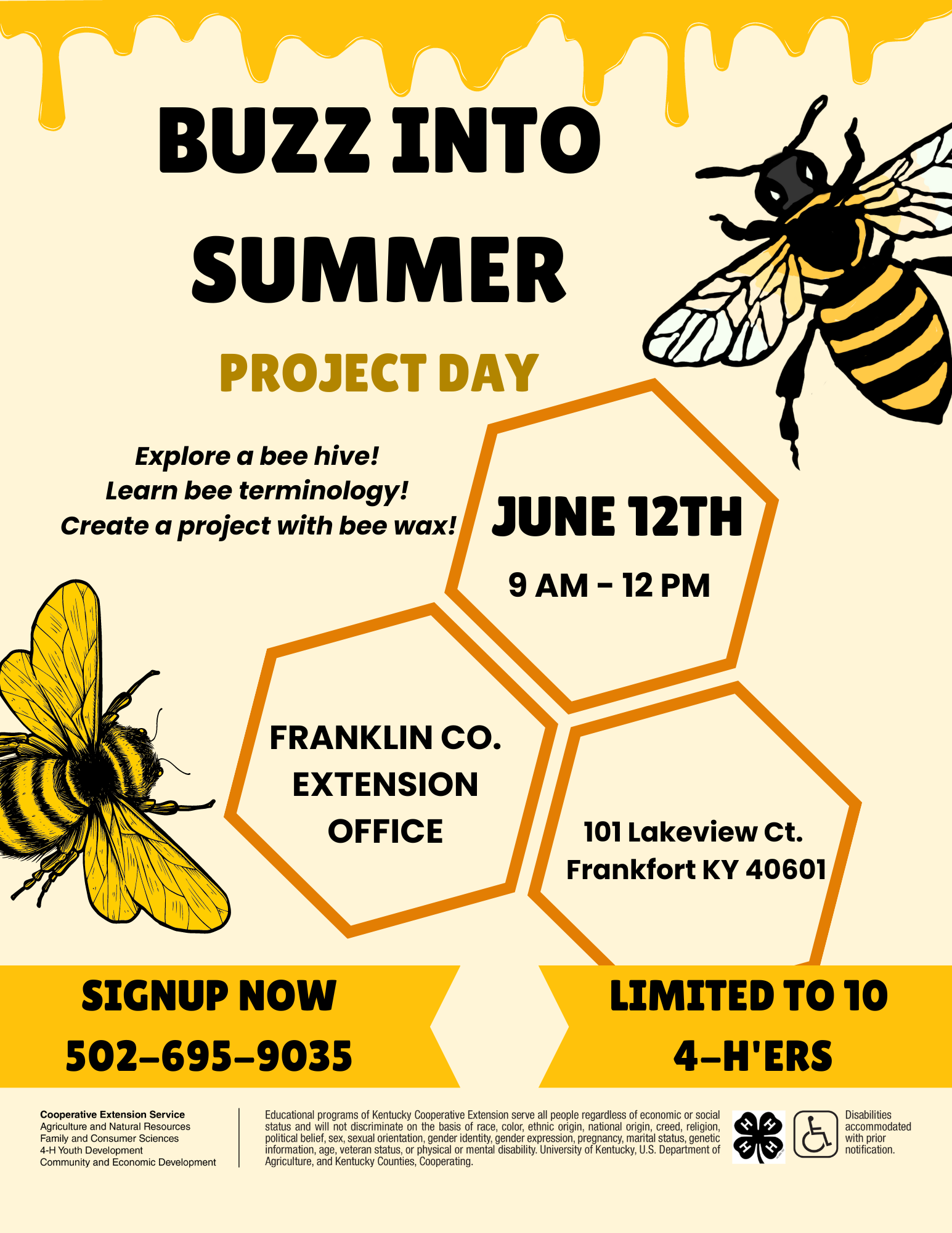 Buzz into Summer Project day flyer
