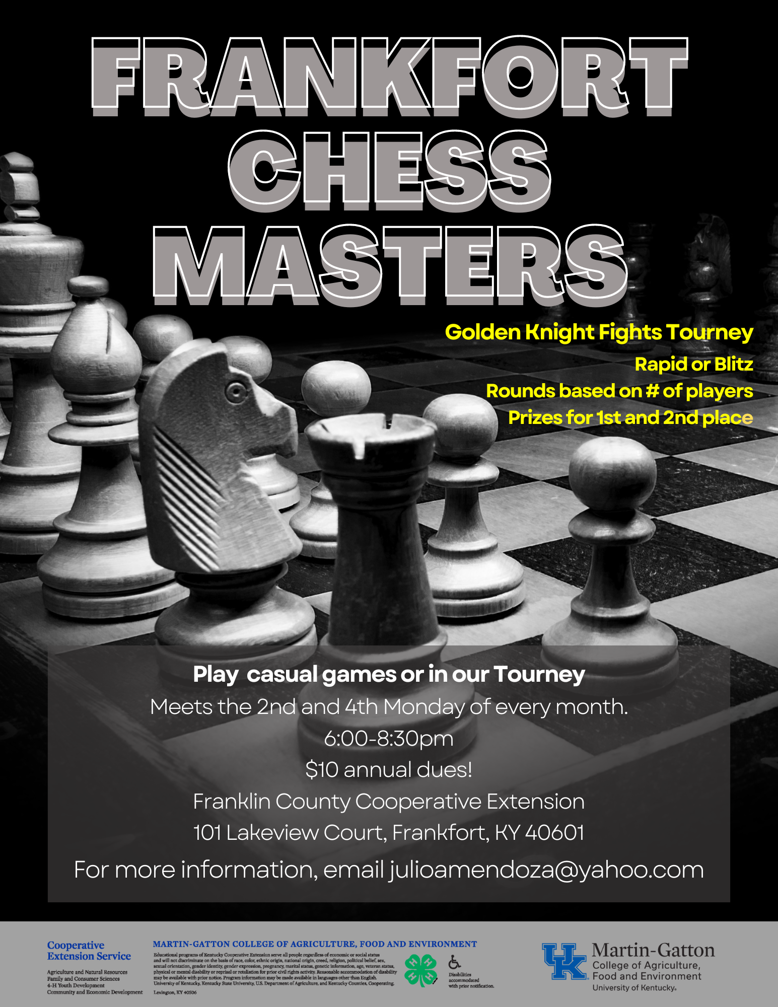 Frankfort Chess Master image 
