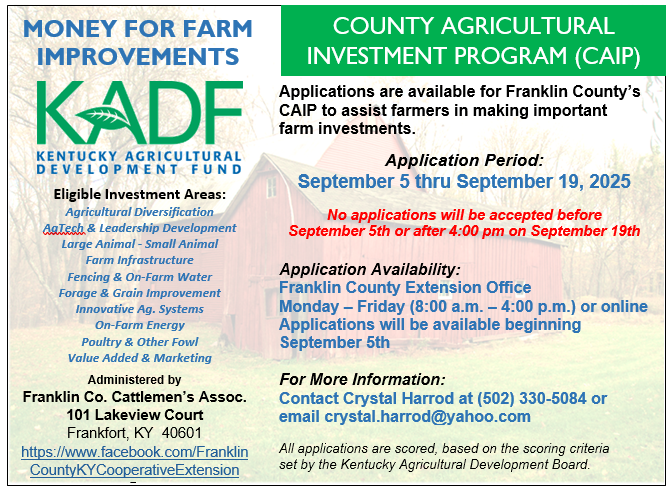 CAIP info flyer