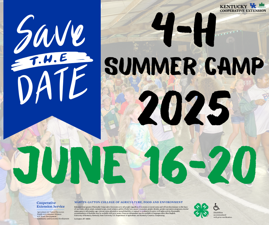 4-H Camp Save the date flyer