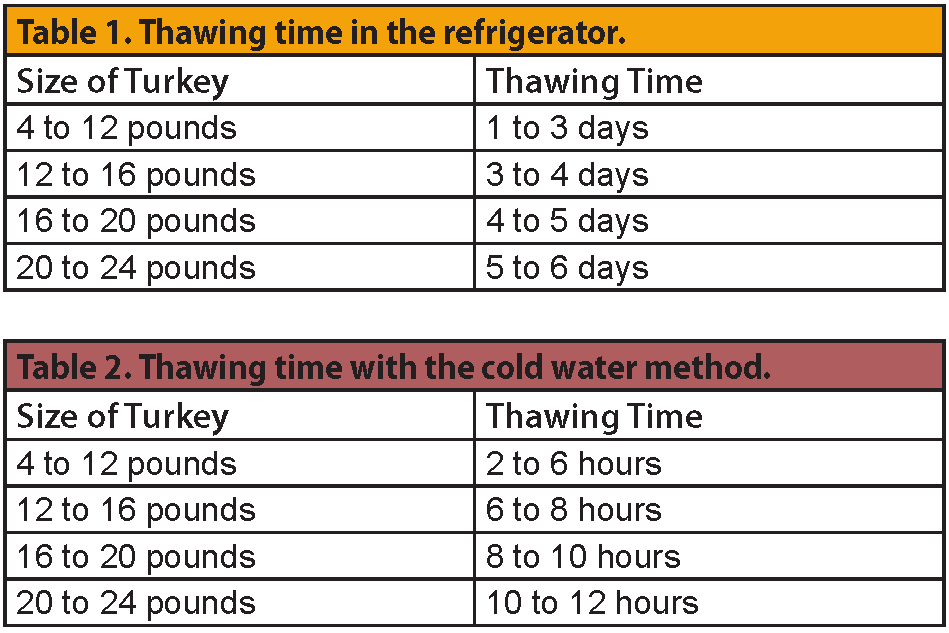 Turkey thawing table image