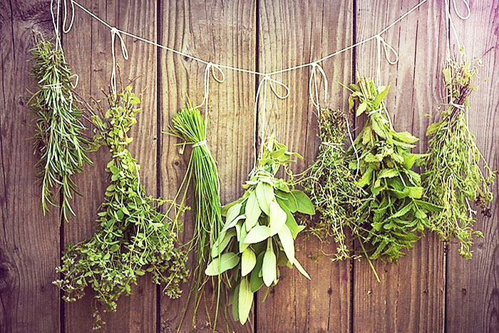 dried herbs