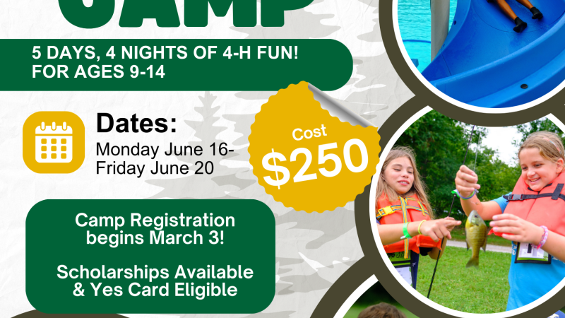 4-H camp flyer