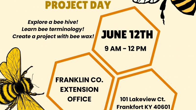 Buzz into Summer Project day flyer