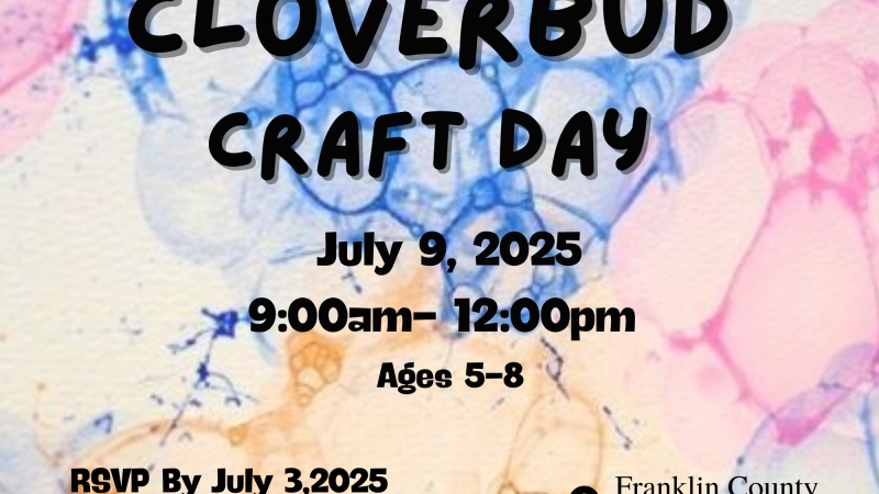 cloverbud craft day flyer
