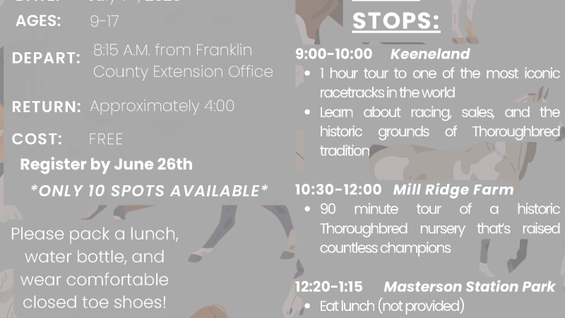 Equine Industry Day flyer