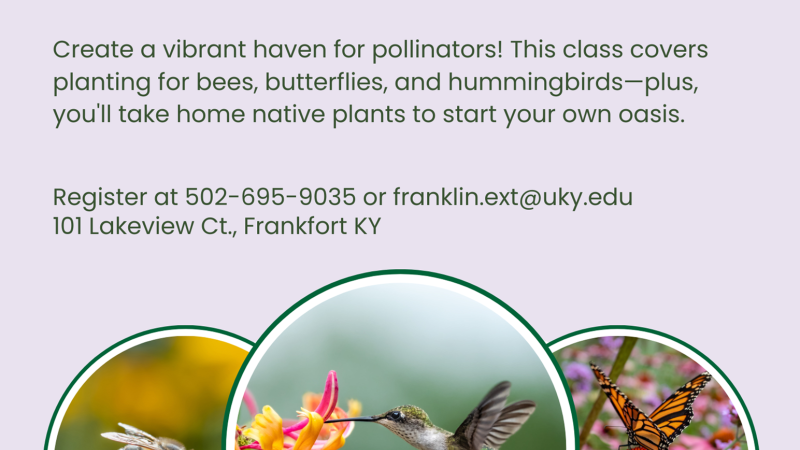Gardening for Pollinators flyer