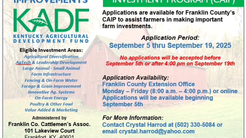 CAIP info flyer